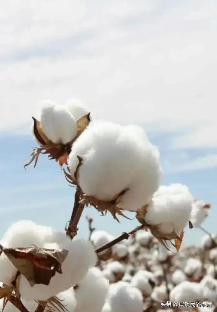 今年的正月二十八是好日子吗,正月二十八日是什么好日子