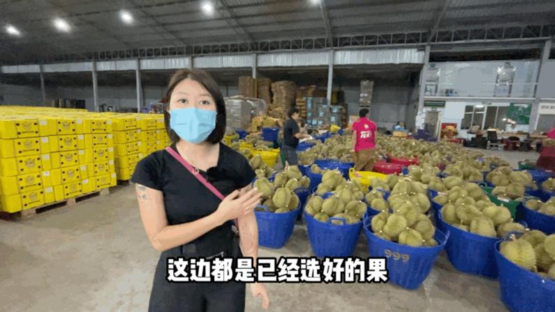 真的榴莲自由了！在泰国榴莲工厂干饭，幸福的泪水从嘴角流下来
