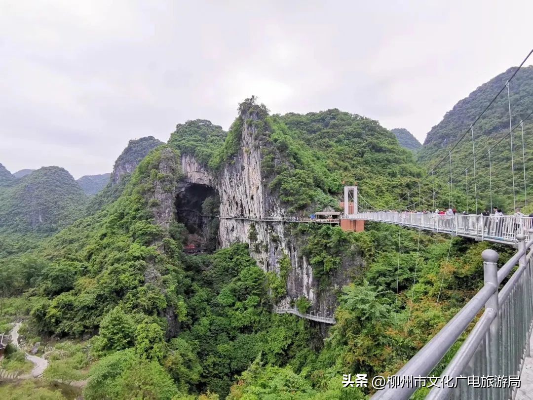 暑期旅游景区活动,暑期旅游优惠活动来啦