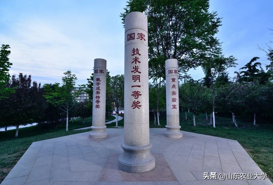 生日快乐！一起为山东农大“非凡十年”点赞