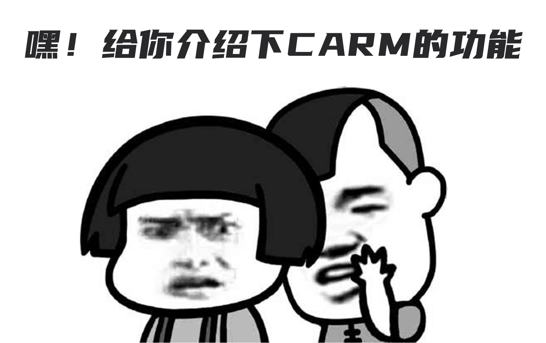 【合规必备】加拿大海关CARM系统