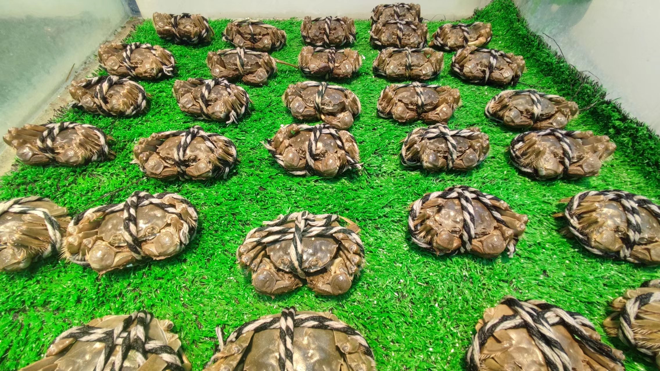 吃大闸蟹的时节教你正确打开方式,大闸蟹最佳品鉴期