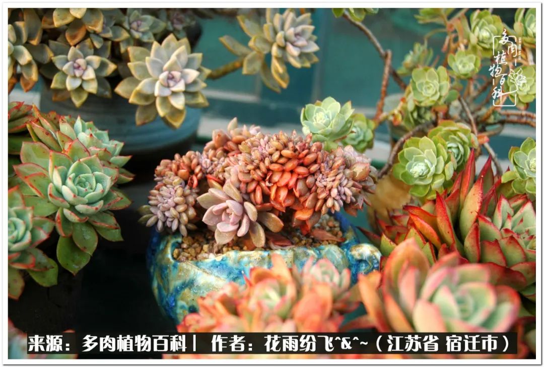 快乐的童年时光视频,回味快乐的童年美好的时光