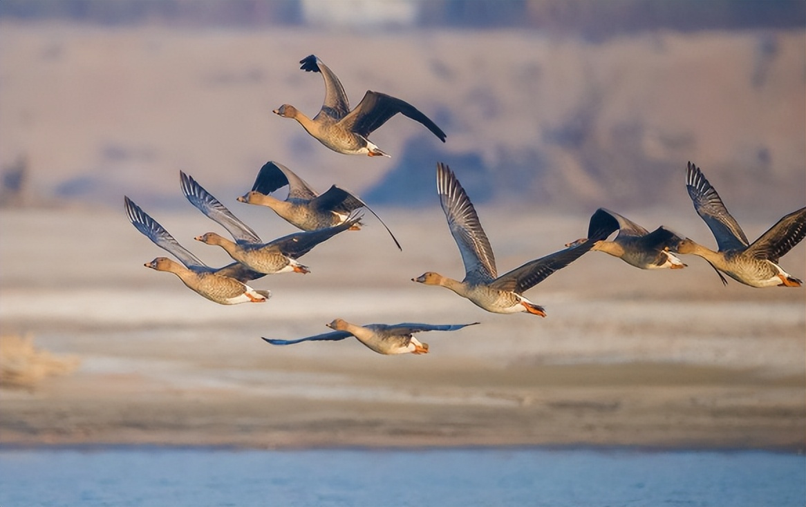 有诗意的江南烟雨诗句,关于烟雨的古诗词名句