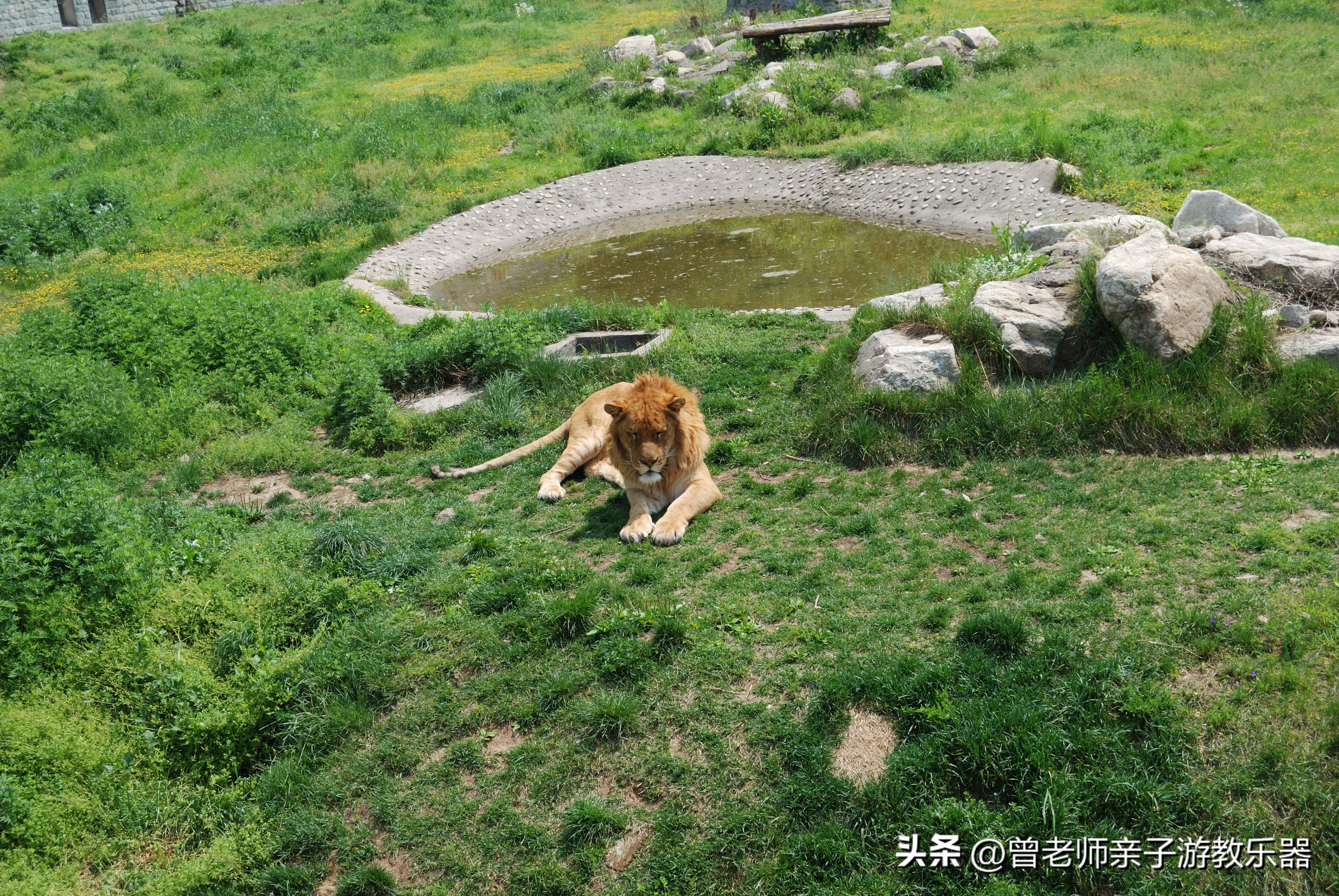 西安旅游五大必去景点秦岭,西安秦岭风景区旅游攻略