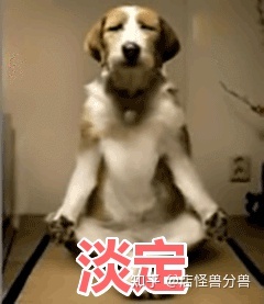 淘宝新店操作爆款,淘宝新店用淘宝客推广操作