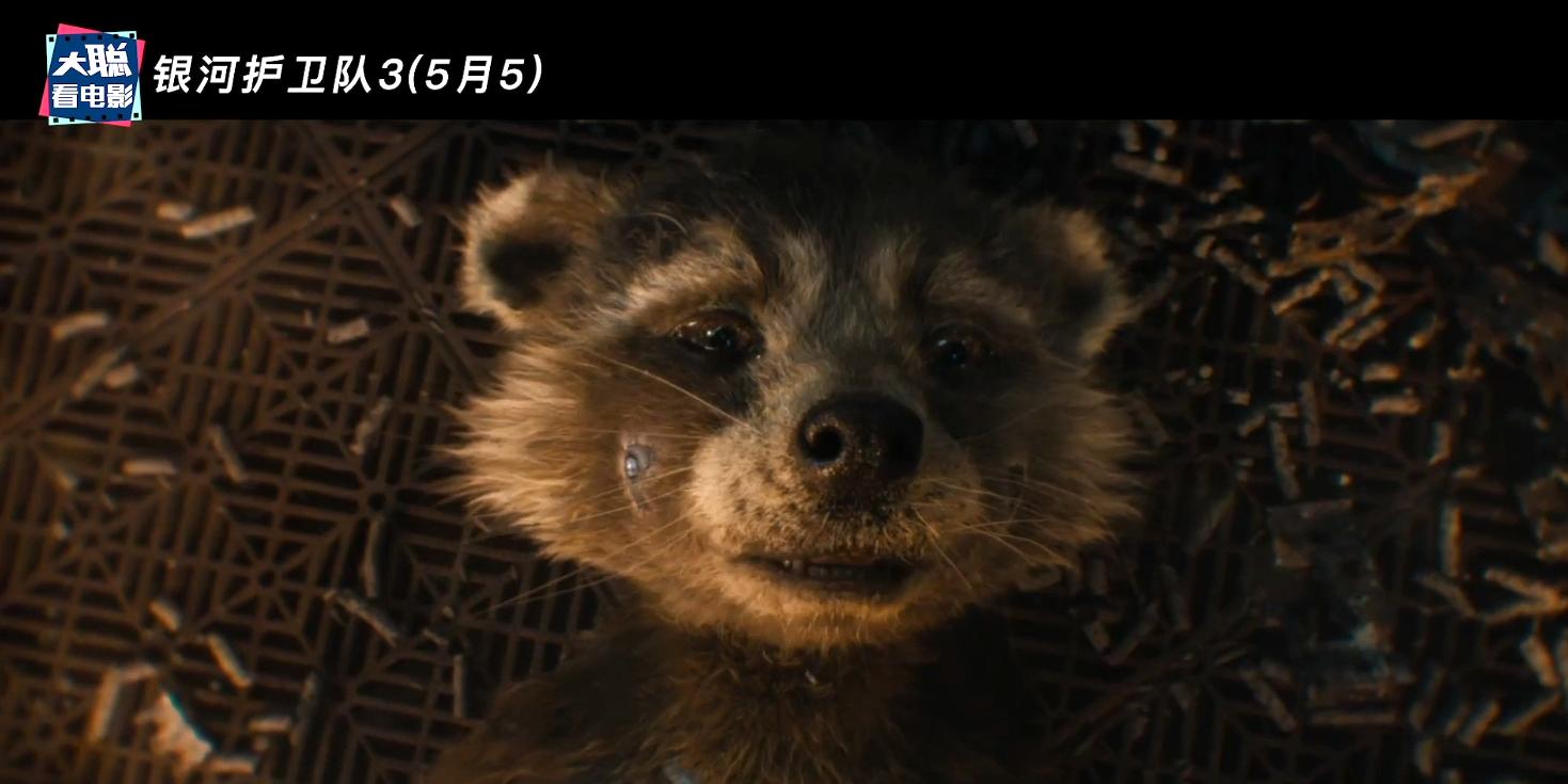 2023大片云集,大片云集最新