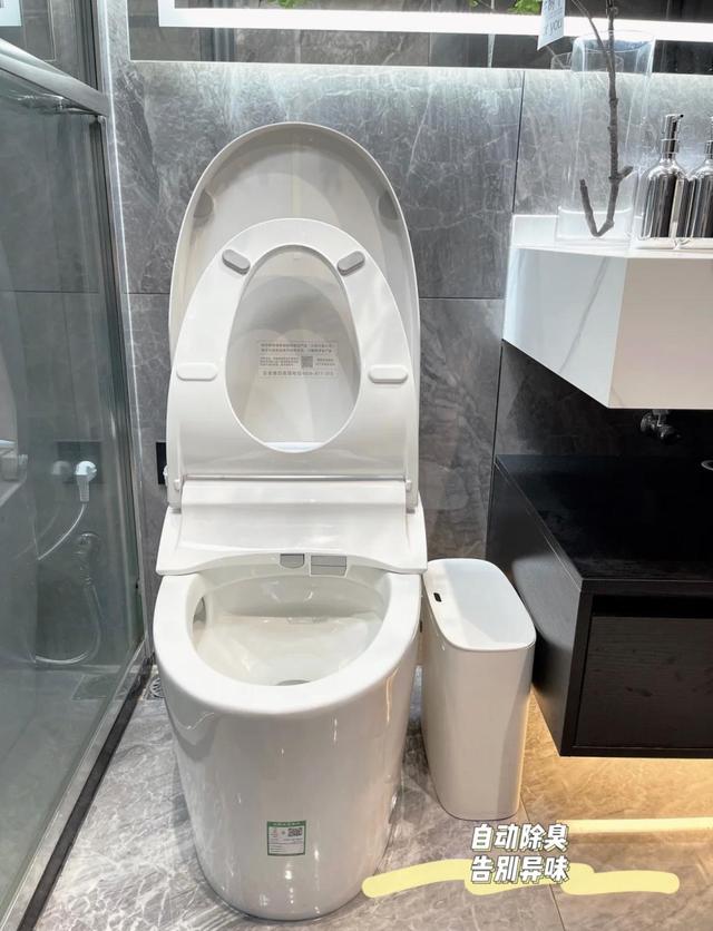 智能马桶到底值不值得入手,智能马桶值不值得买