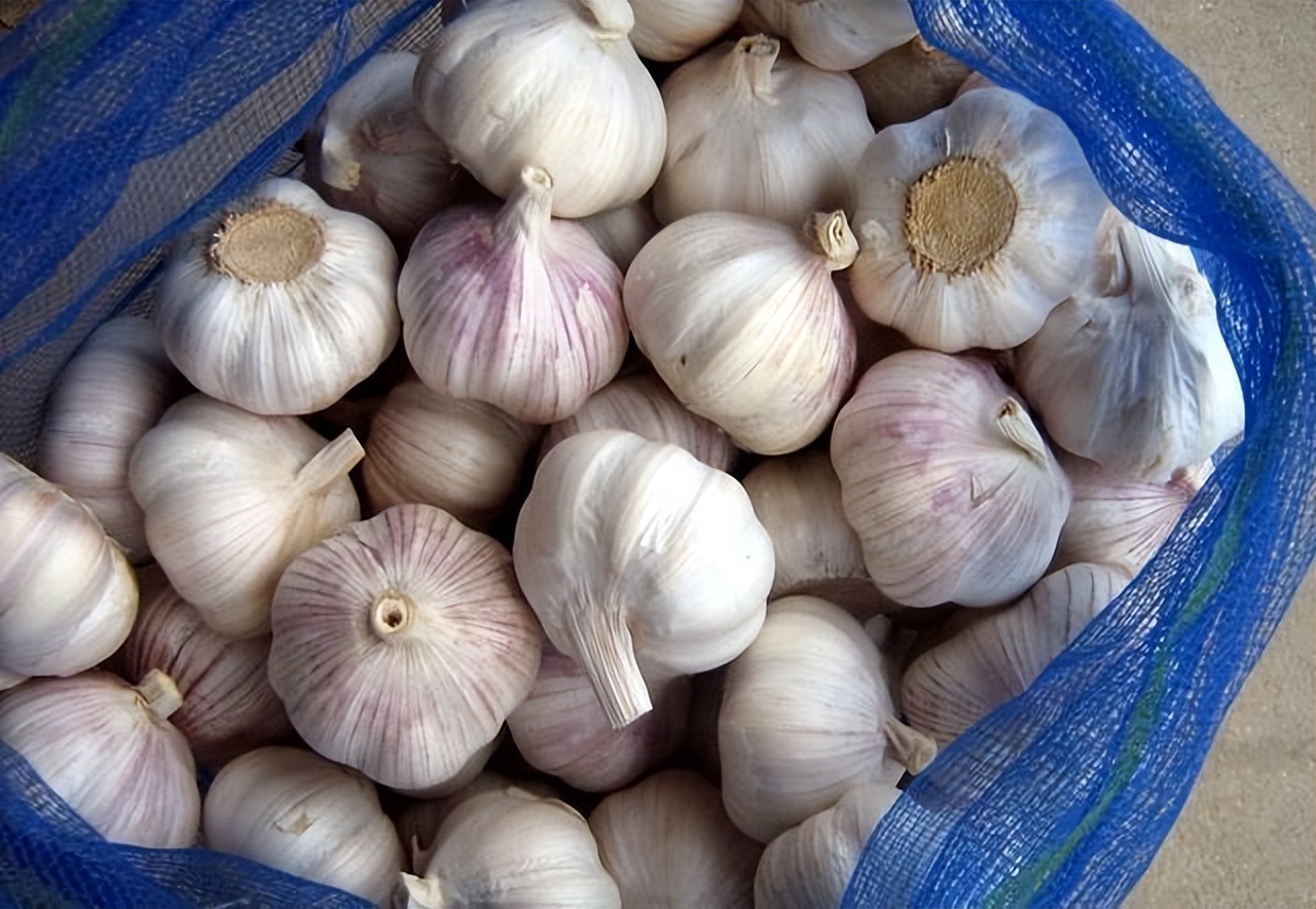 桥本氏甲状腺炎患者可以吃大蒜吗,甲状腺手术后能吃生姜大蒜香葱吗