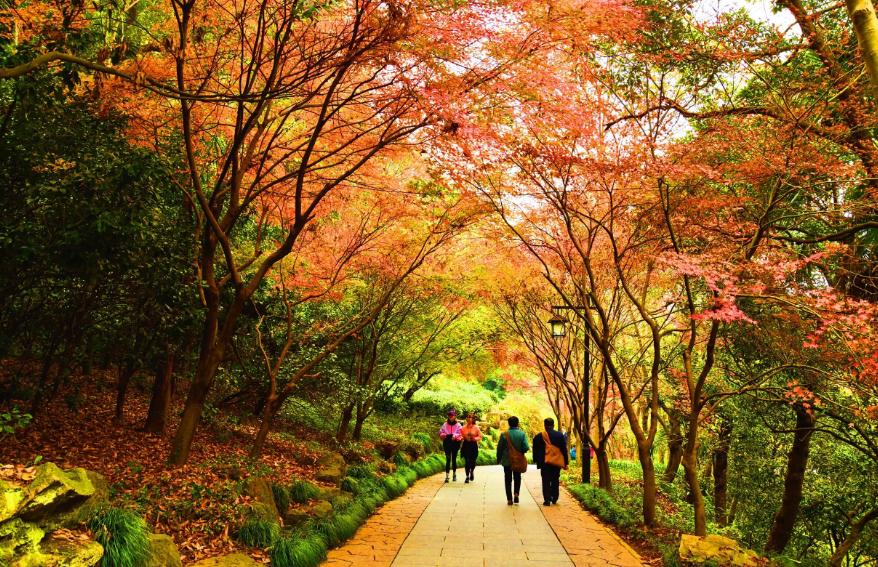 西湖的秋景诗句,西湖的秋天是美丽的