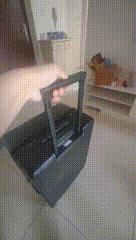 旅途好伙伴·地平线8号城市脉搏系列行李箱