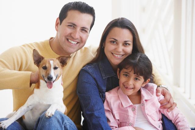 牙髓和根尖周炎,牙髓病和根尖周病