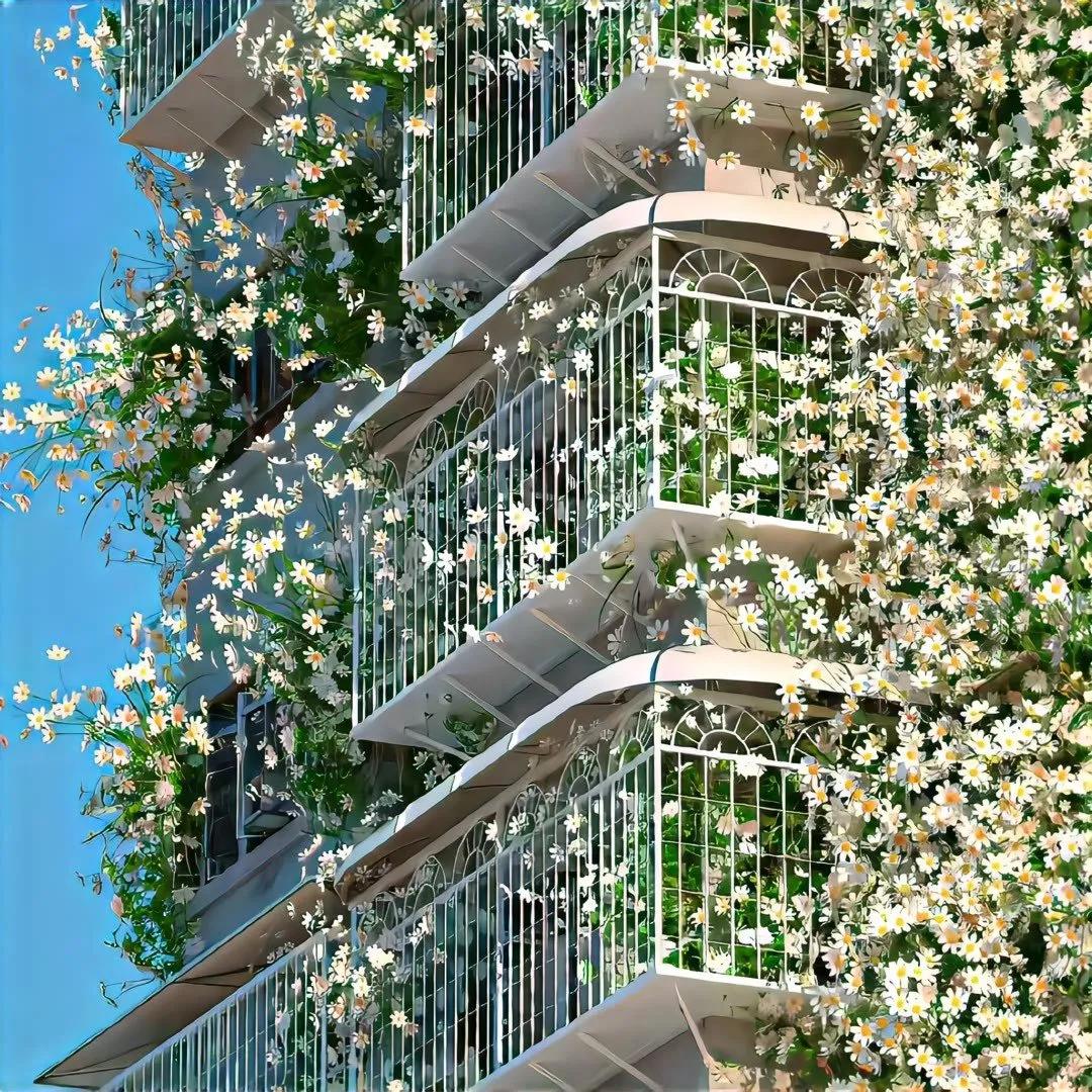 清新花朵朋友圈背景图,清新唯美干净背景图片