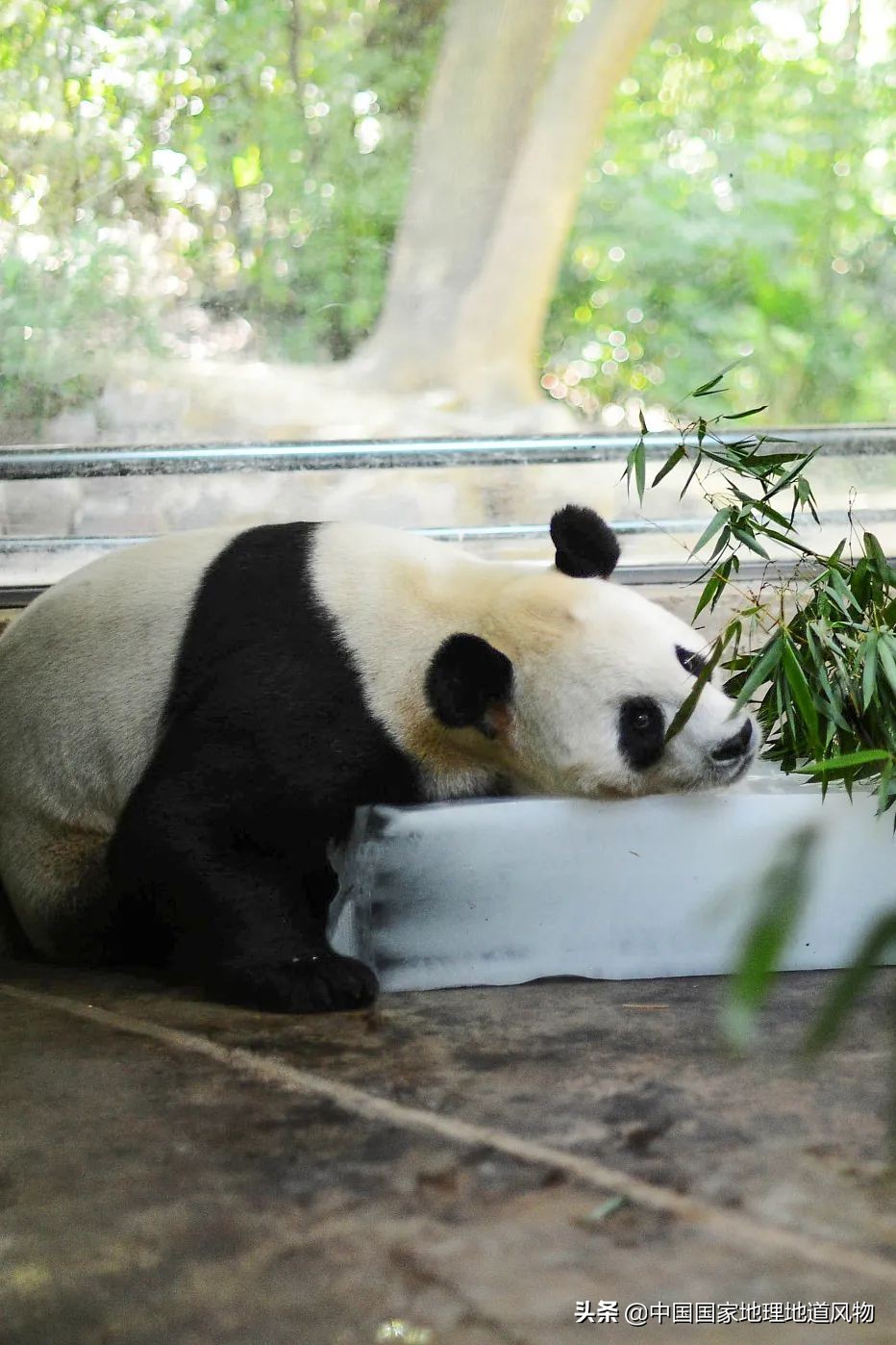 中国四大火炉的城市是哪几个,中国被称为四大火炉的城市