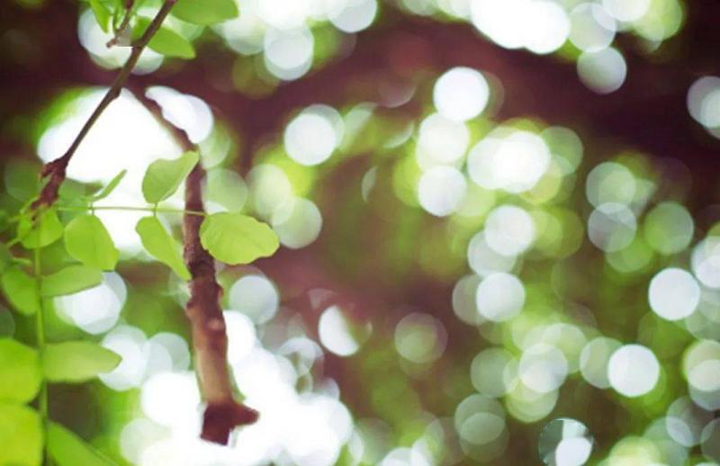 华为mate50pro24年还值得买吗,华为mate50pro只有4g网络吗