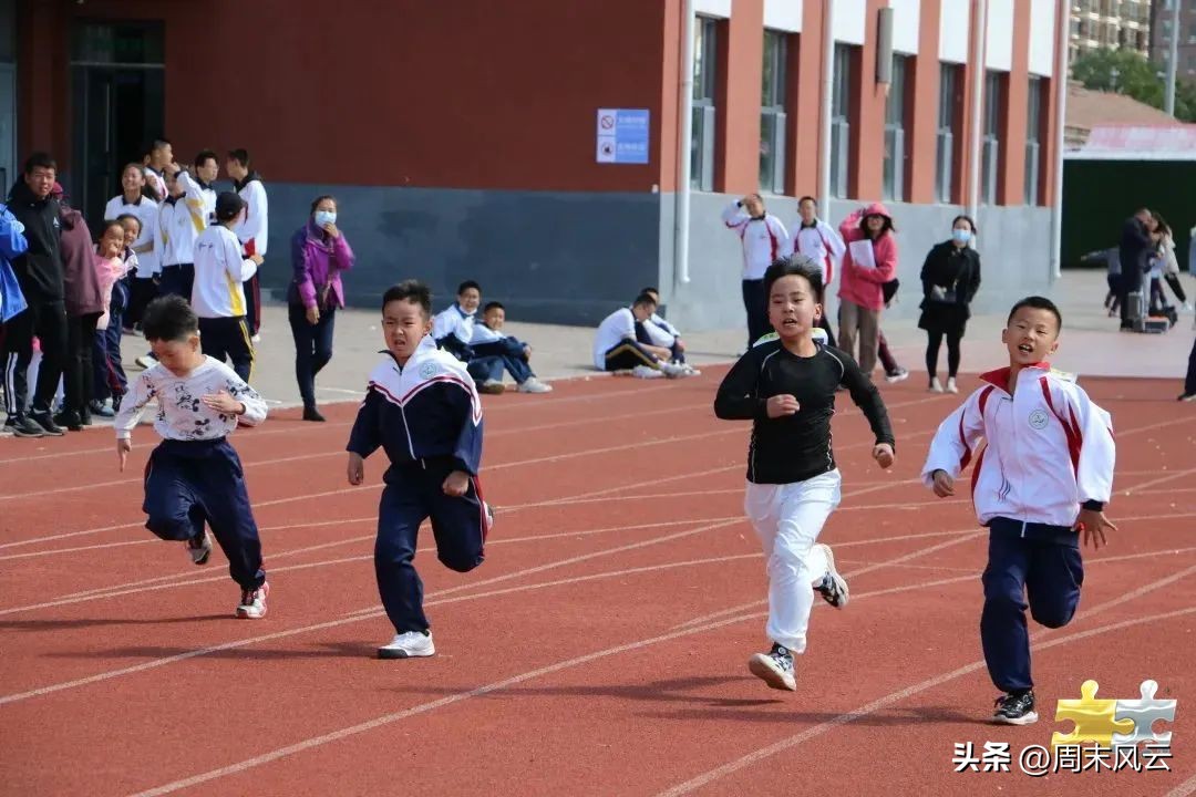 体育教育体验课,多彩体育课程