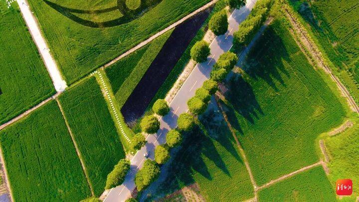 “青”春正当时|看！青白江农业国际贸易高质量发展