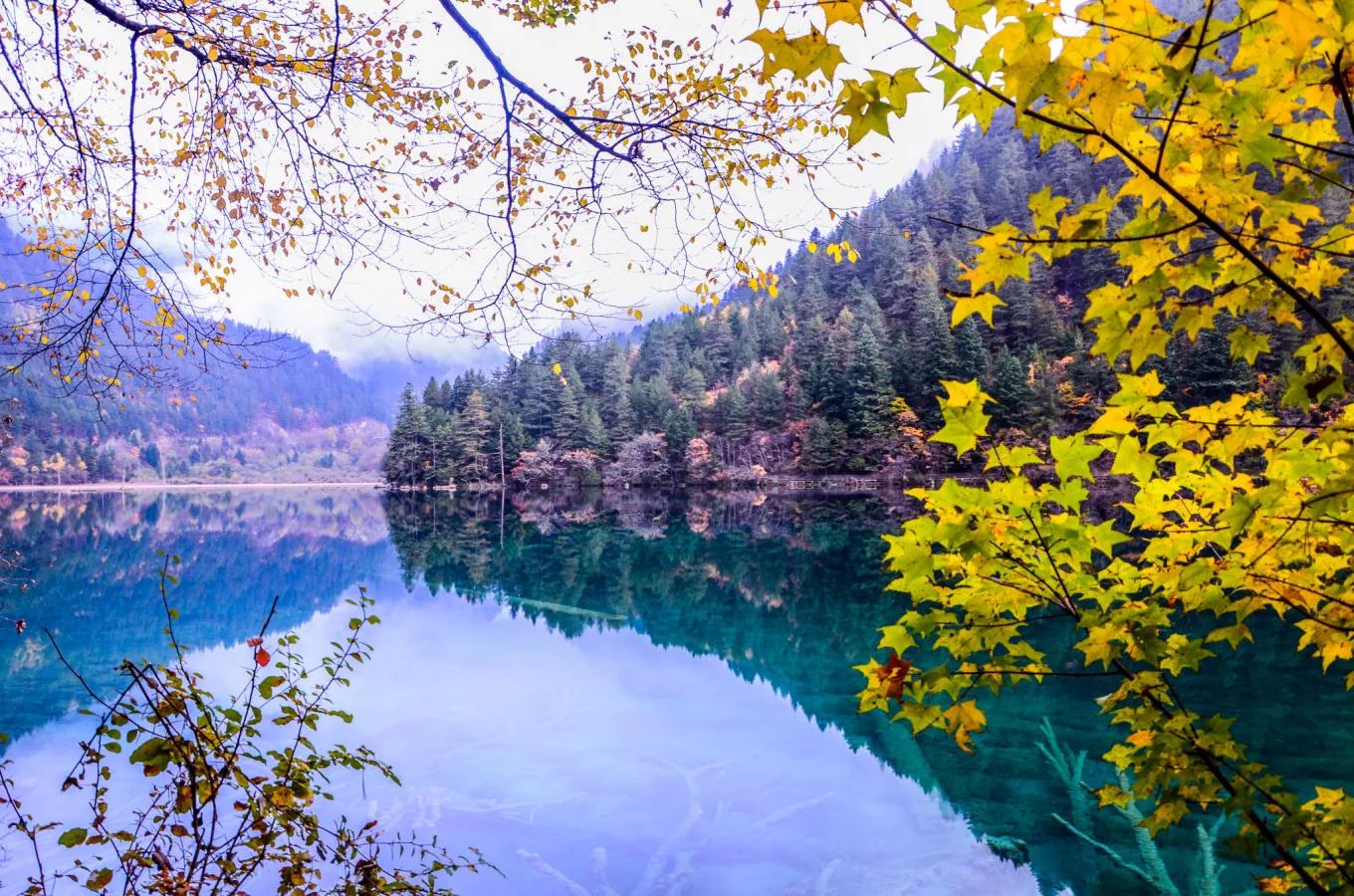 九寨沟旅游攻略最新一日游推荐,九寨沟两天一夜旅游攻略