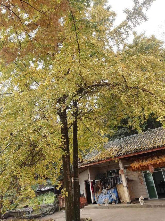 当年的钓点早已无鱼可钓，但鱼就在水中，真正的垂钓者都能看见