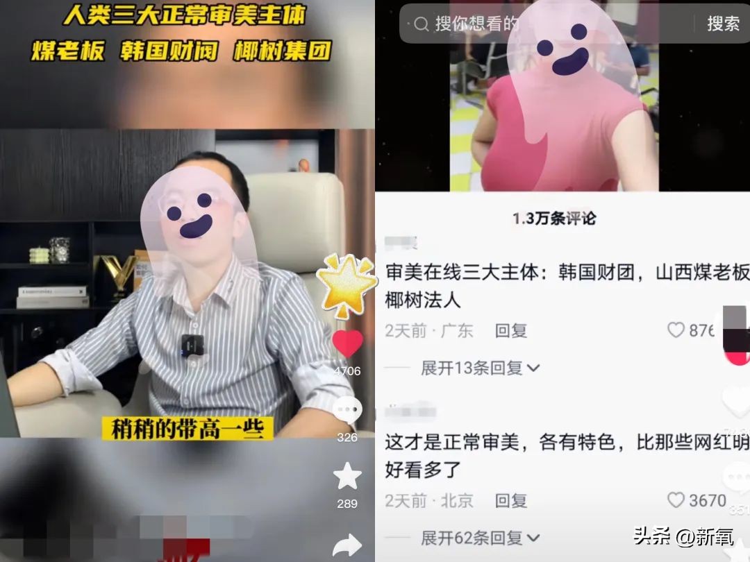 椰树财阀审美,财阀的眼光和椰树集团的审美