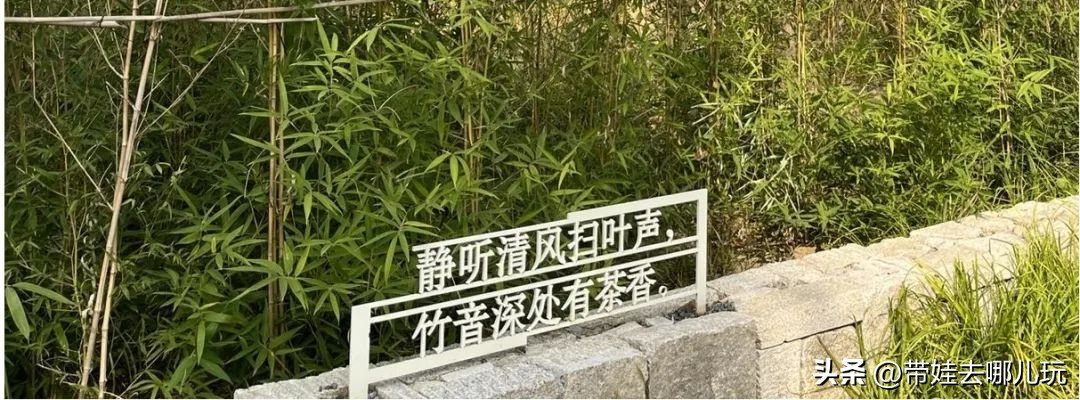 藏在二环的超小众免费公园,免费游玩的小公园