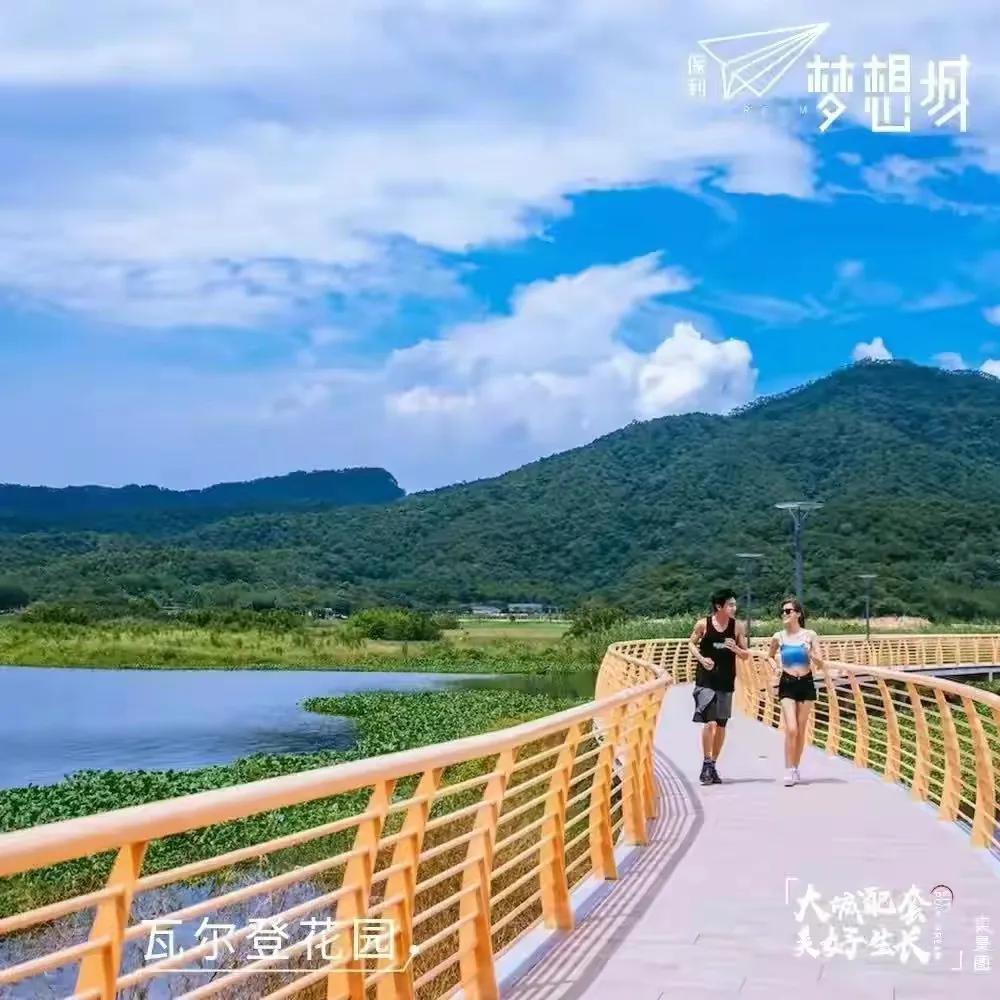 广州保利楼盘降价事件,广东楼市降价排行