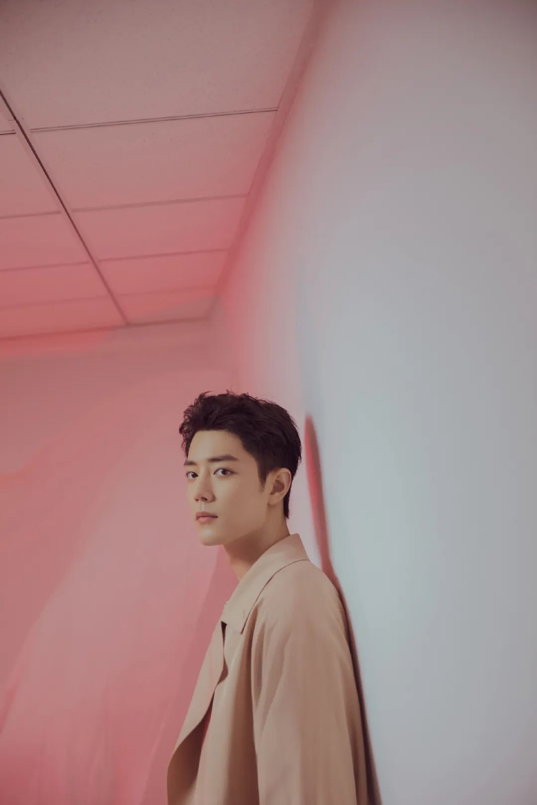 肖战代言目前有哪些品牌,肖战最新代言的品牌有哪些