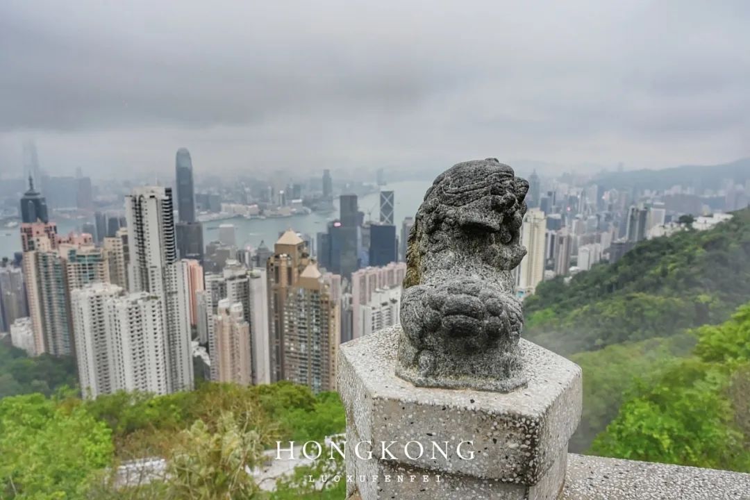 去香港旅游跟团需要签证吗,香港跟团旅游避坑攻略