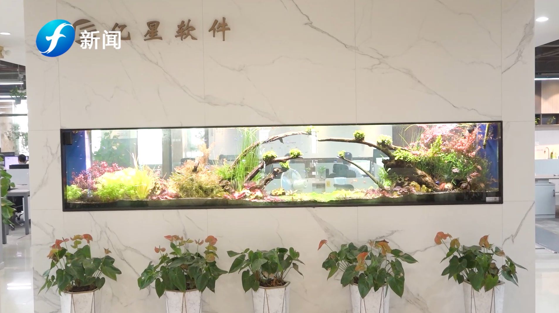 福建直通车发布福建电视台播出——亿星软件有限公司