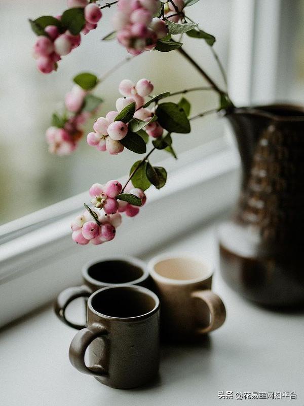 9月份红色好看的花材,颜值高的花束合集