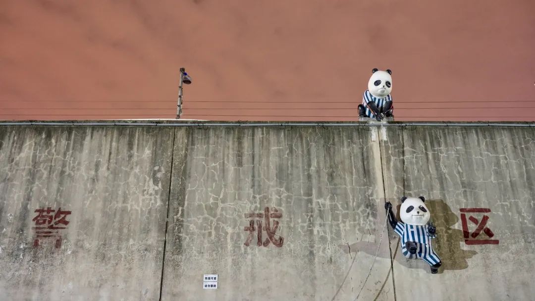 尼康z系列挂机镜头,尼康z24-200和24-120哪个好