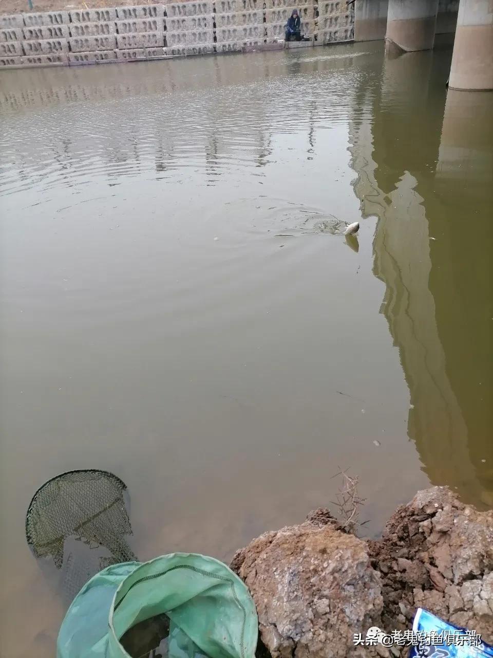 冬季小野河野钓冰钓,冬钓野河大板鲫