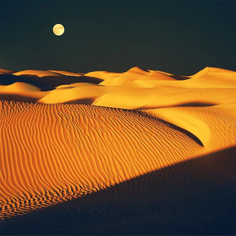 中国摄影协新项目,中国摄协最新公示