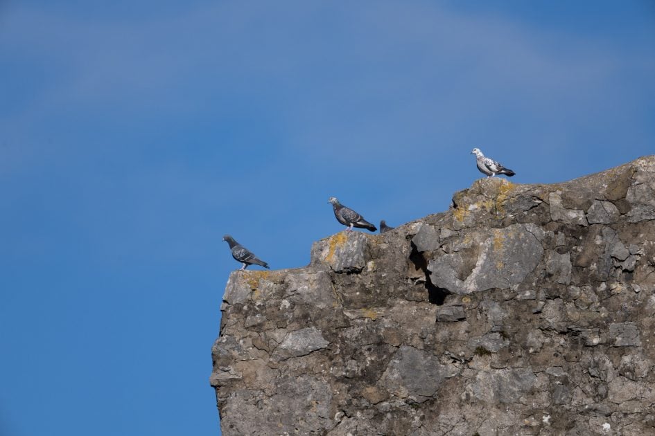 尼康Z100-400镜头,尼康z100-400mmf4
