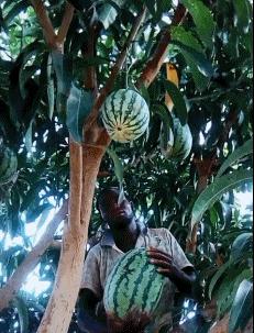 女朋友是不是平胸怎么验,被说平胸怎么安慰自己