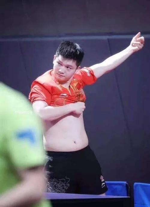 国乒马龙樊振东,樊振东国乒一哥