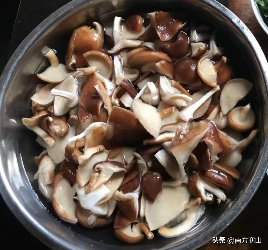 云南野生菌致幻品种,云南野生菌诗句