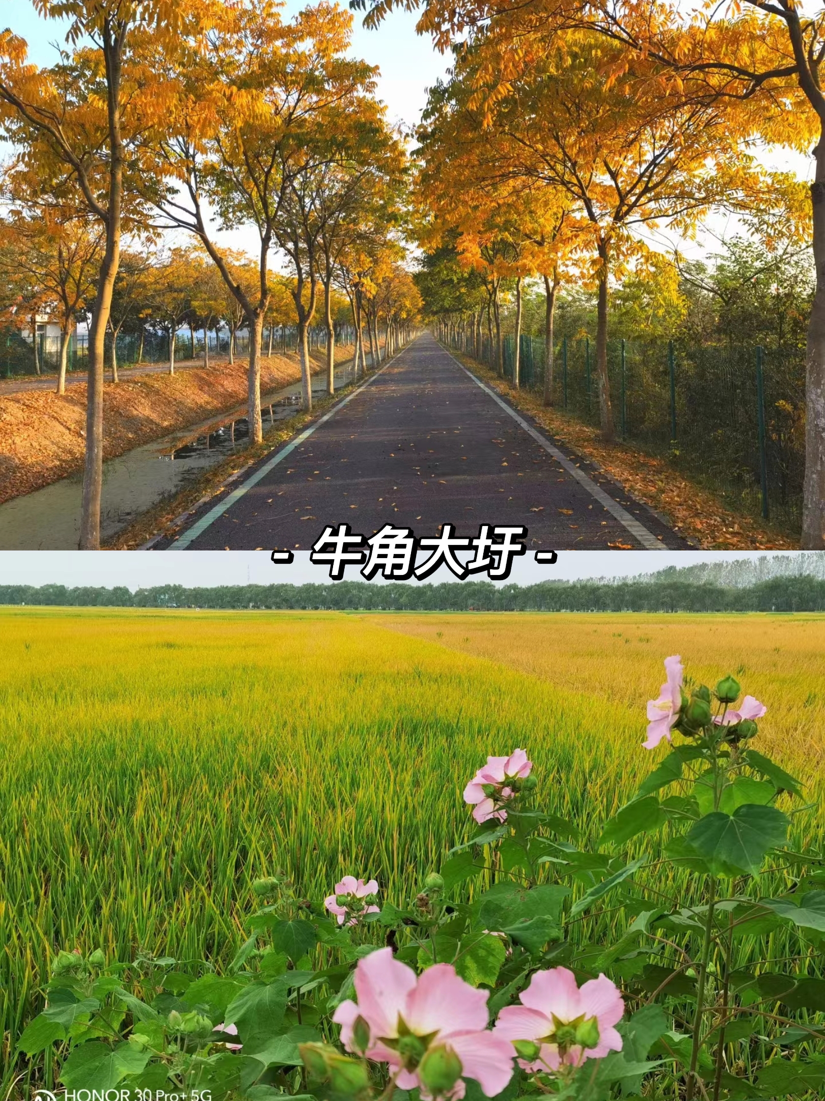 合肥周边有哪些适合自驾游的地,合肥3-5天短途自驾旅游推荐