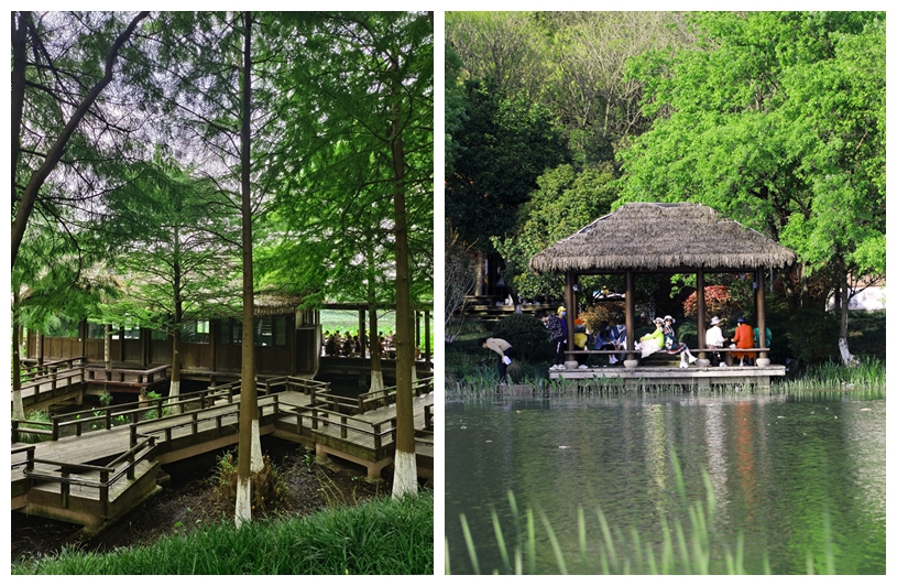 八卦田遗址公园直播,八卦田遗址公园平面示意图