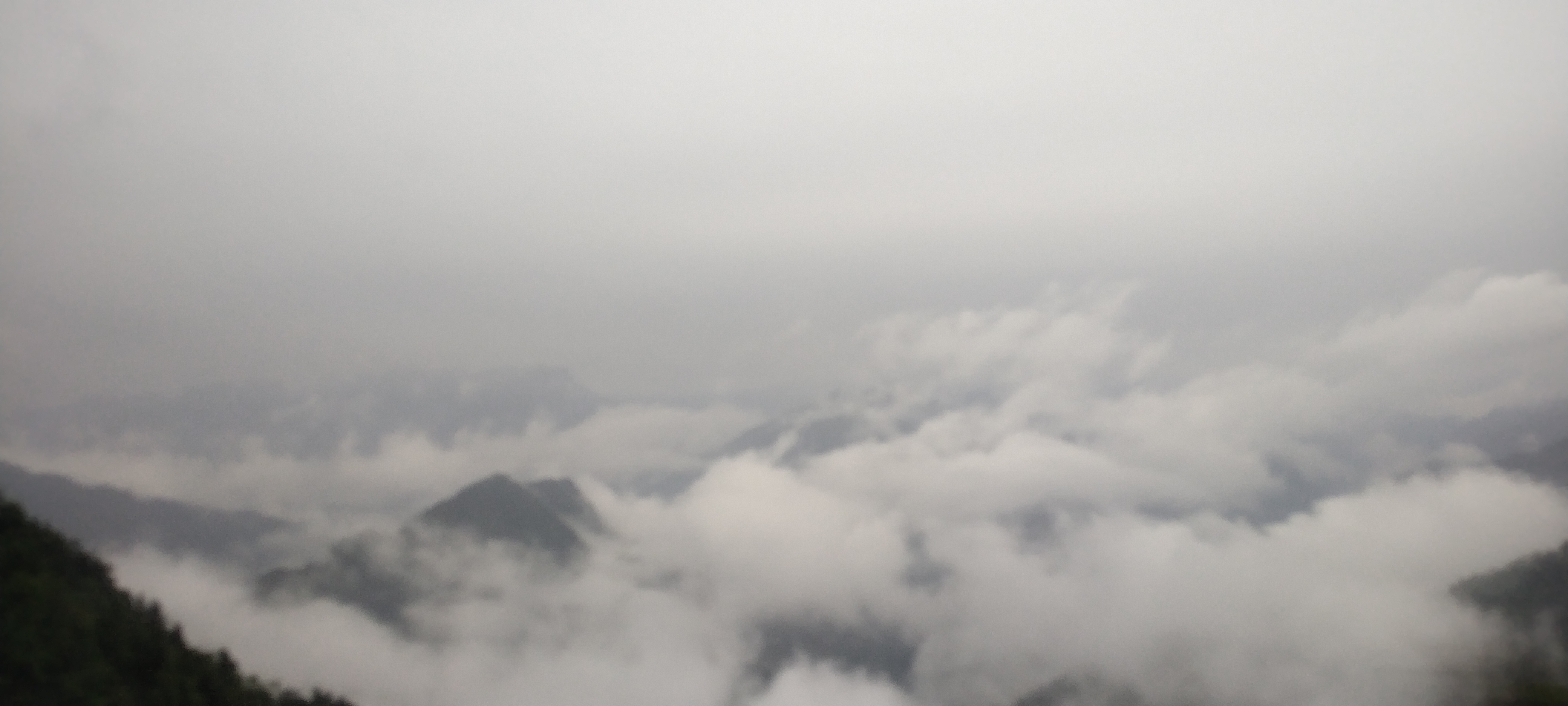 鹤峰走马葛仙米价格,鹤峰特产葛仙米怎么吃