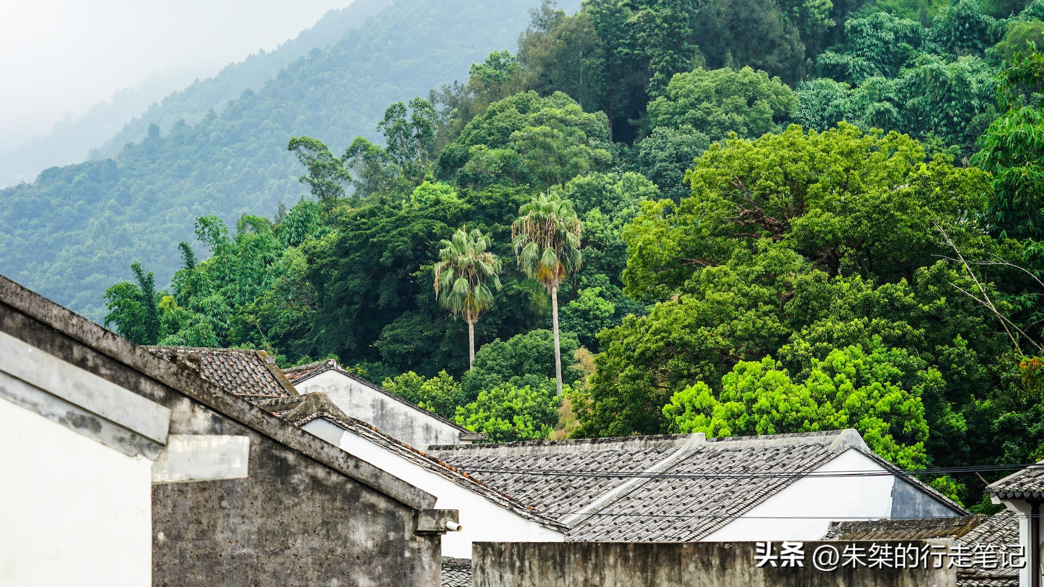苍南古村落景点打卡,苍南有什么适合打卡的景点