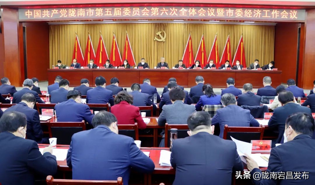 陇南经济运行情况,陇南市稳经济稳增长大会召开