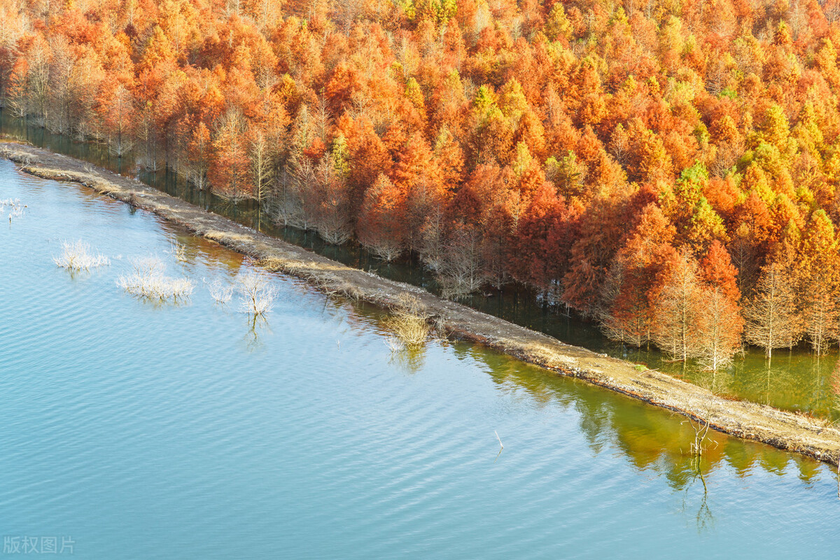 抖音发视频如何添加小红书,抖音小红书标签怎么打