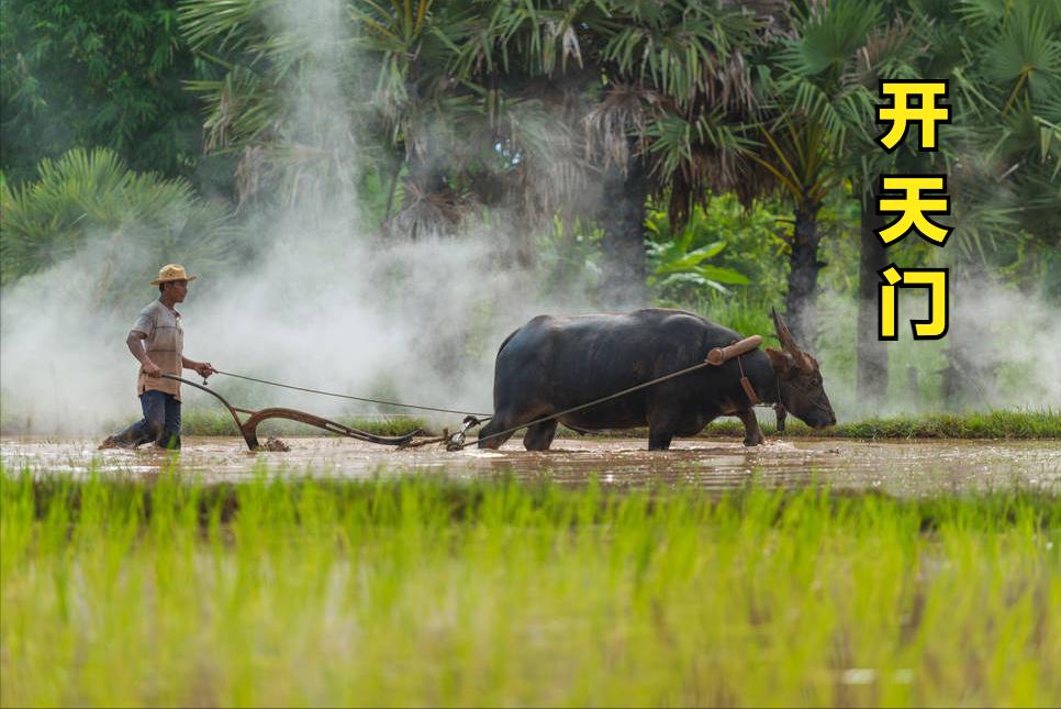 “今日开天门，财宝进家门”，分享一道“补运菜”，寓意降福降贵