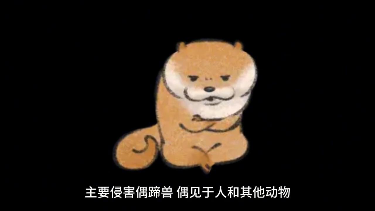 猪口蹄疫的最快治疗方法,猪呼吸道科普