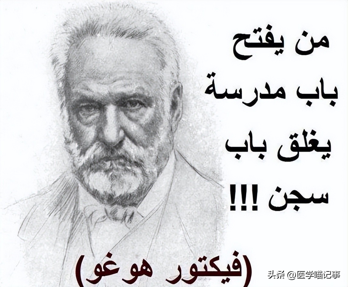 雨果诗歌和小说创作,雨果诗歌和小说创作的成就