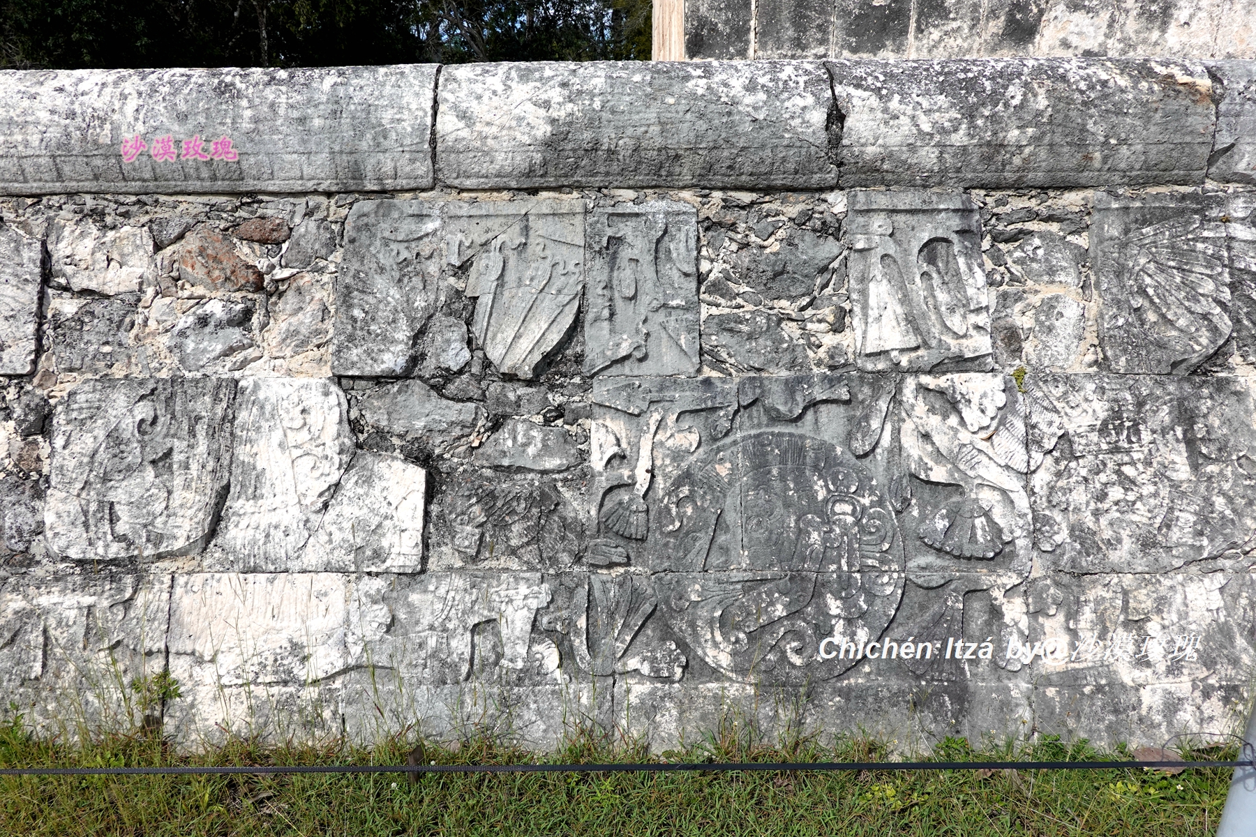 墨西哥足球暴力,墨西哥足球最高赛事