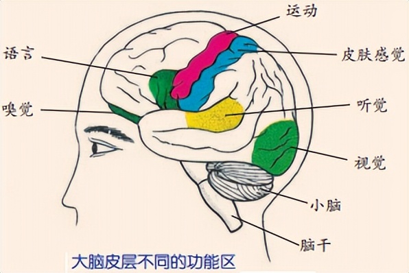 科学知识大全小学生必背,科学知识大全全集