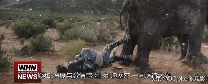 好莱坞十大喜剧电影,好莱坞喜剧电影十大巅峰之作