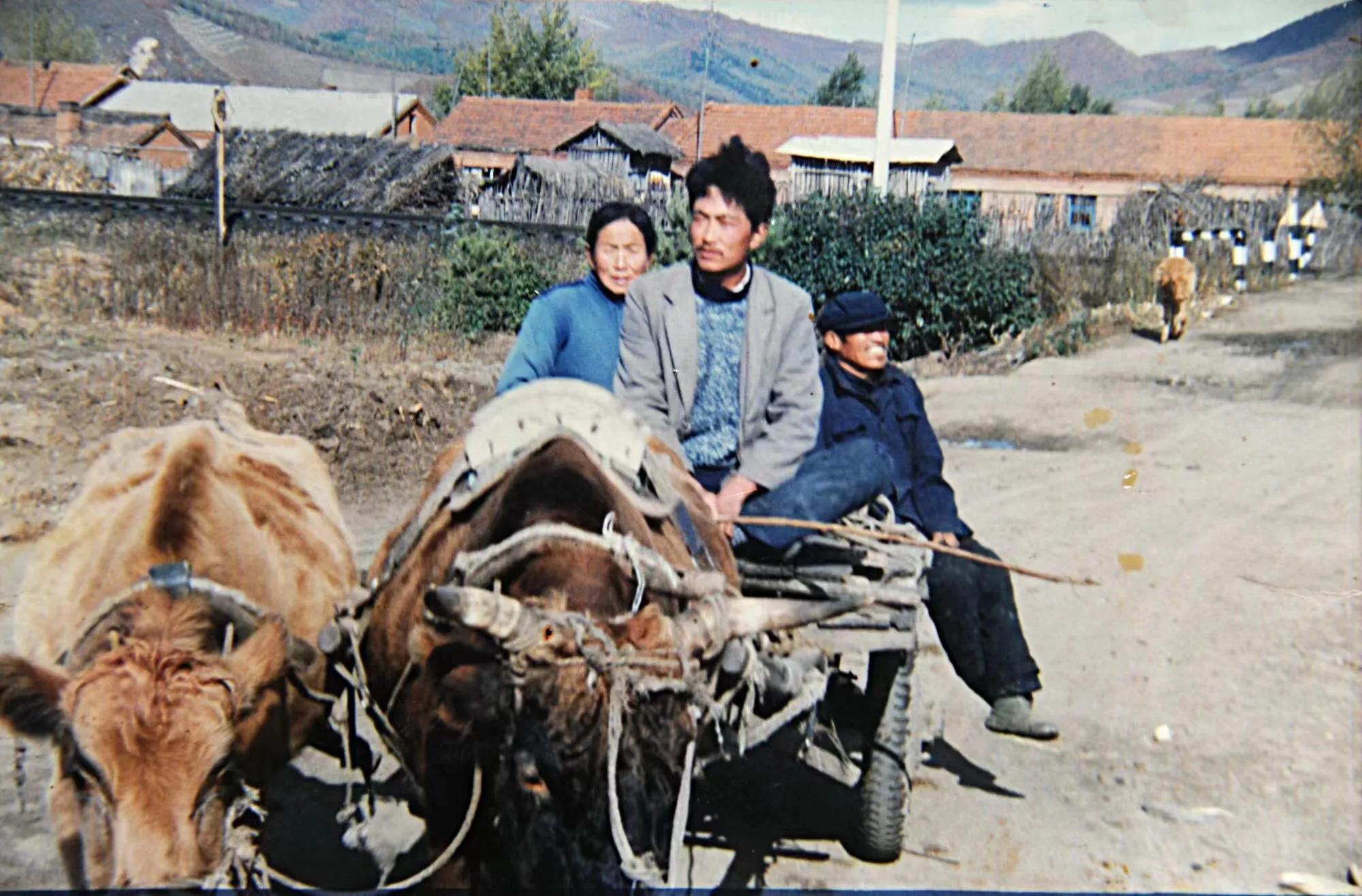 肖景志评论家,肖景志油画作品